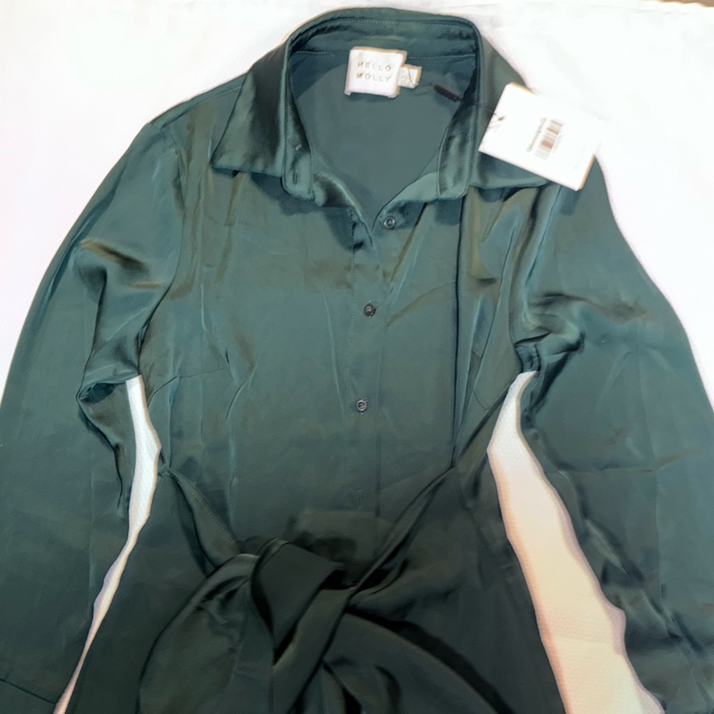 Hello Molly Forest Green Satin Shirt Dress - Picture 3 of 8